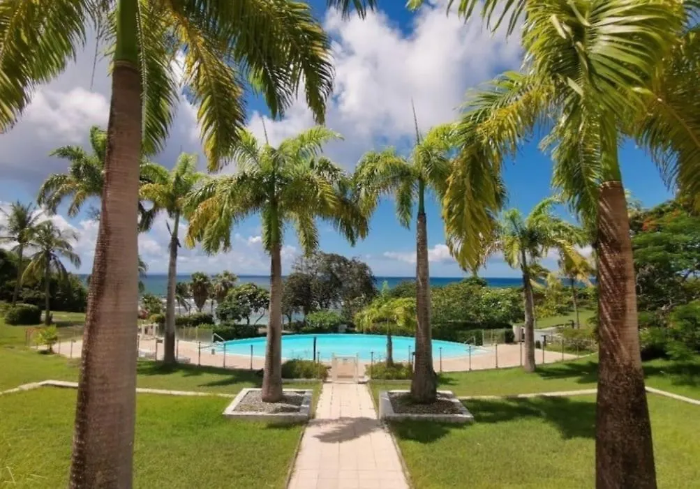 Appartement Avec Vue Mer En Guadeloupe Sainte-Anne   Sainte-Anne (Grande-Terre)