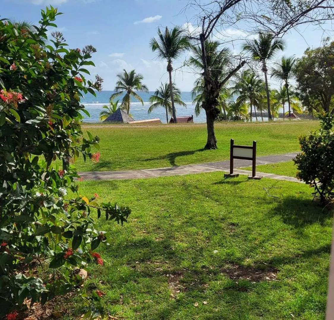 Appartement Avec Vue Mer En Guadeloupe Sainte-Anne  Sainte-Anne (Grande-Terre)